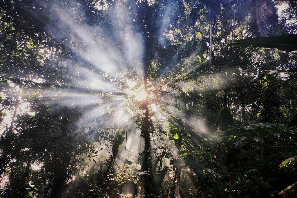 rays of light